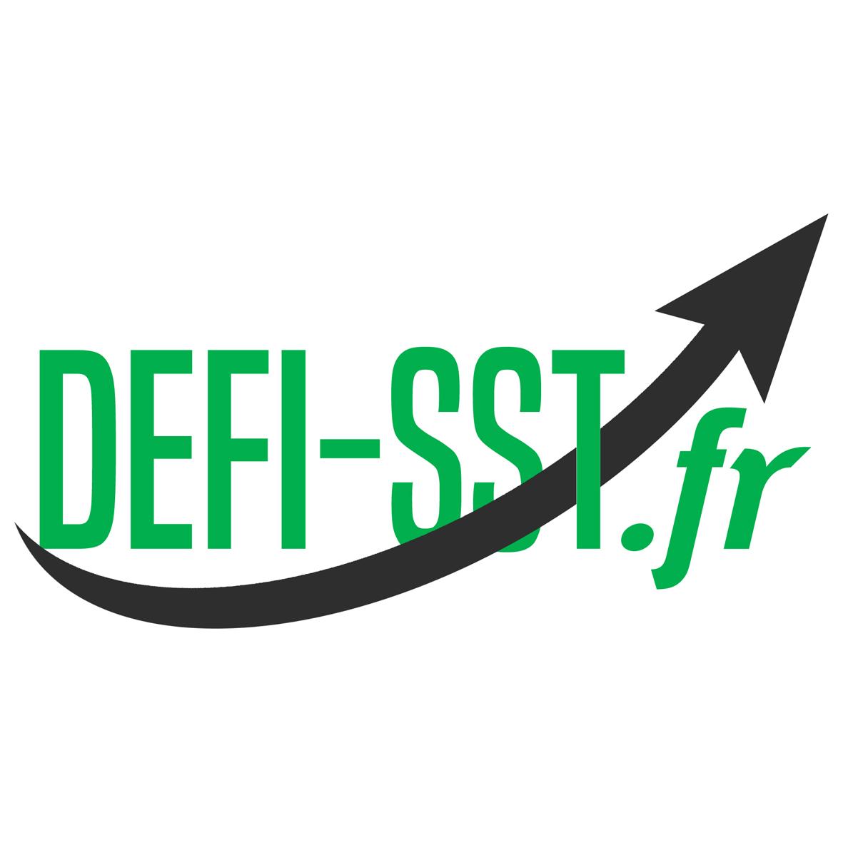 Defi sst logotype 003