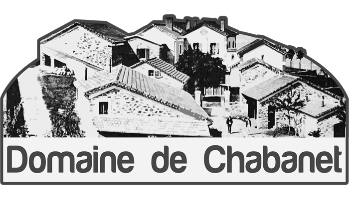Logotype hotel les chataigniers 003